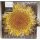 Tagebuch Turnowsky "Starry Sunflower - Sonnenblume"