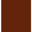 ZIG Clean Colors Real Brush Marker - 060 Brown