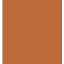 ZIG Clean Colors Real Brush Marker - 061 Light Brown