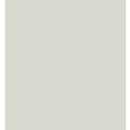 ZIG Clean Colors Real Brush Marker - 900 Warm Grey 2