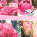 Servietten "Tulipes Roses pink" 20 Stk.