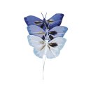 Schmetterling, dunkelblau