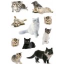 Sticker "Katzen"