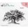 Stempel "Old tree" Nellies Choice