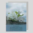 Trauerkarte "Weiße Lilie"